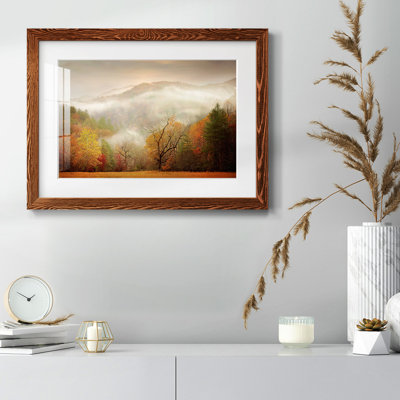 Étude de photographie brume d'automne