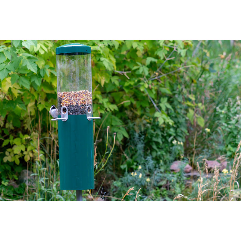 Mangeoire d'oiseaux classique 24 po avec mât et écureuil Birds Choice
