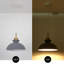 Luminaire suspendu simple à 1 lumière Gibran-1312792633