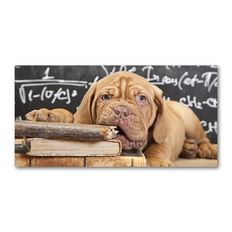 The Dog Bites The Book - Wrapped Canvas Print