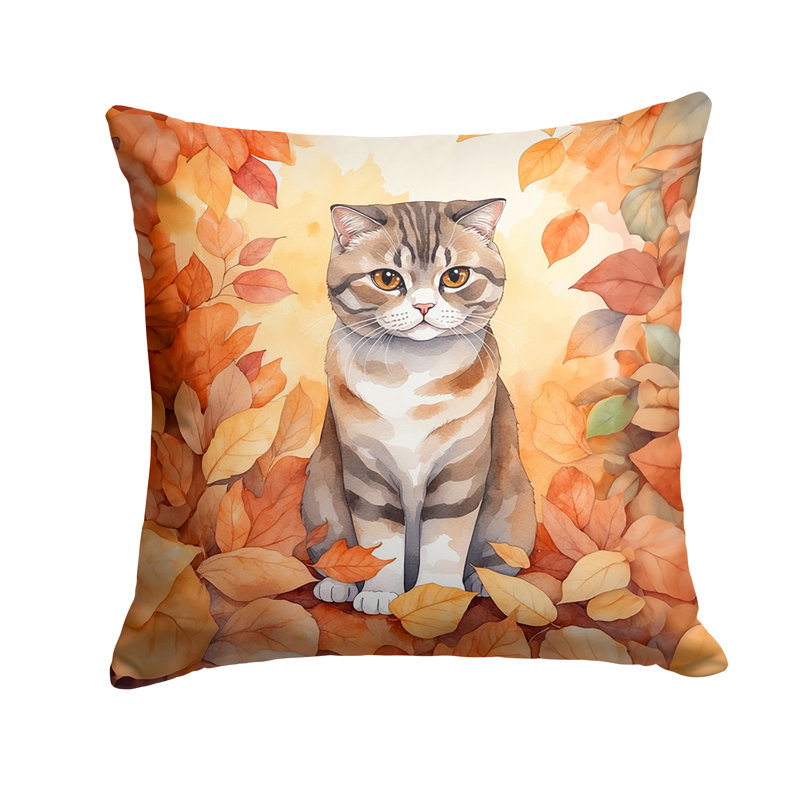 Coussin Scottish Fold, Carré 14 po
