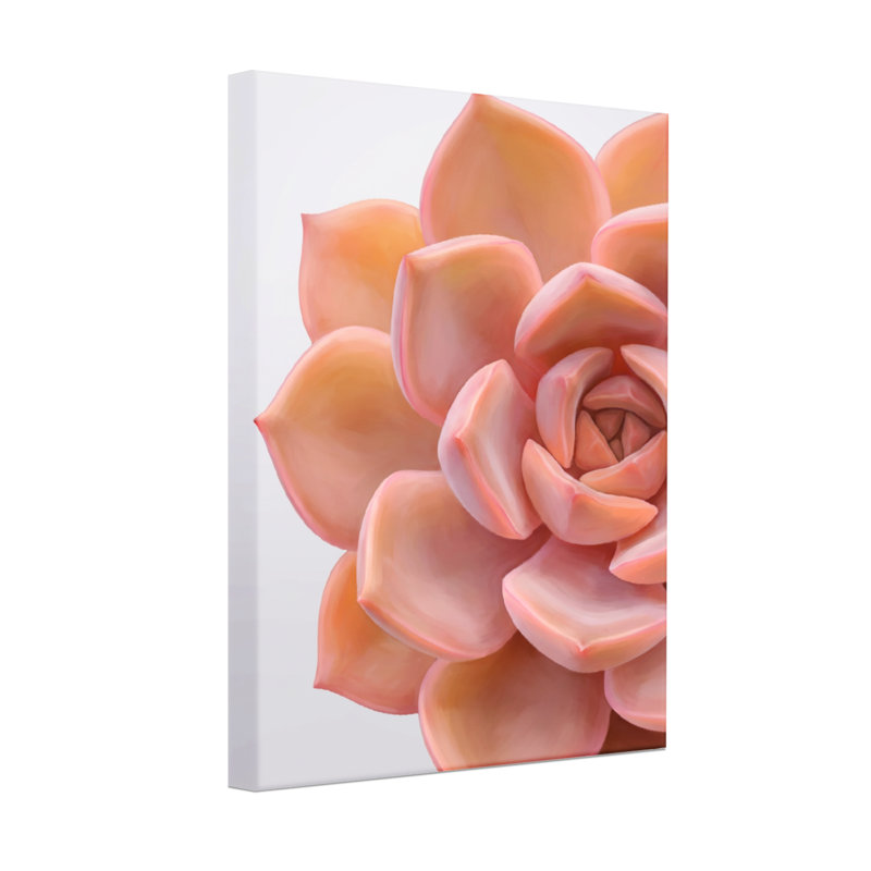 Plantes et fleurs, plante grasse, reproduction d'art, H 24 po x l 36 po