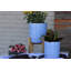 Pot de fleurs-301192161-301192165