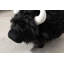 Repose-pieds avec rangement Harry The Buffalo Cow - Repose-pieds noir en fausse fourrure avec rangement caché