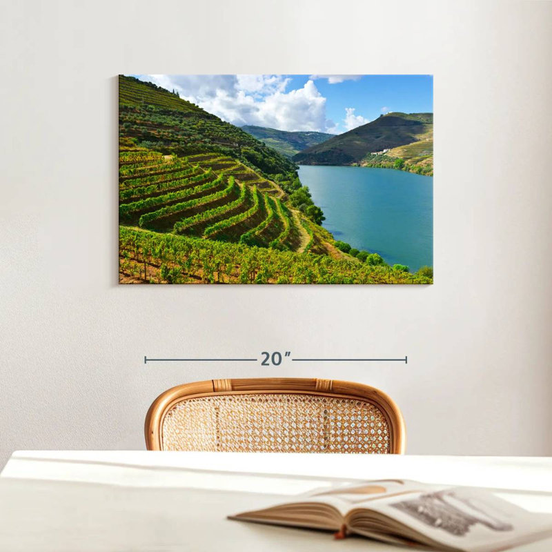 Alvord Douro Grapevine Valley, 16" H x 24" W