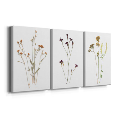 Pressed Botanical I - Toile tendue avec châssis sur mesure - 3 pièces