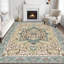 Retro Persian style art carpet light luxury living room aesthetic anchor point with complex patterns freeze Space Advanced feeling 5 * 7ft Cashmere-like washed bottom