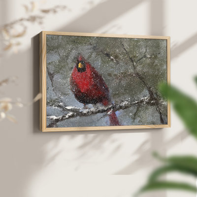 Cardinal dans la neige I - reproduction encadrée