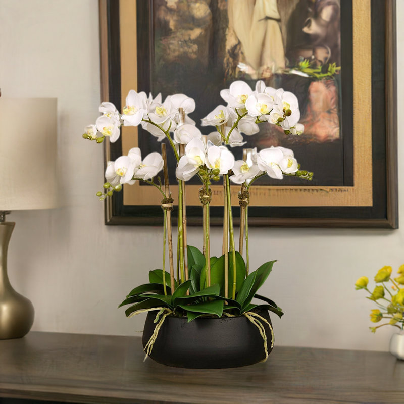 Orchid Floral Arrangement in Planter, 24" x 18", White, Black