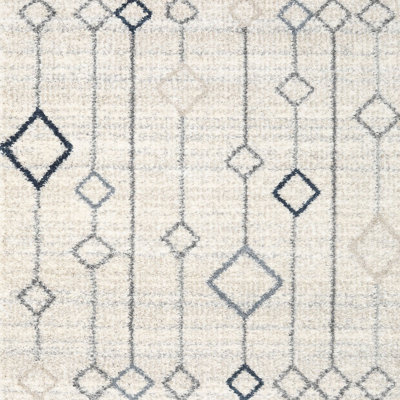 Indoor Rug