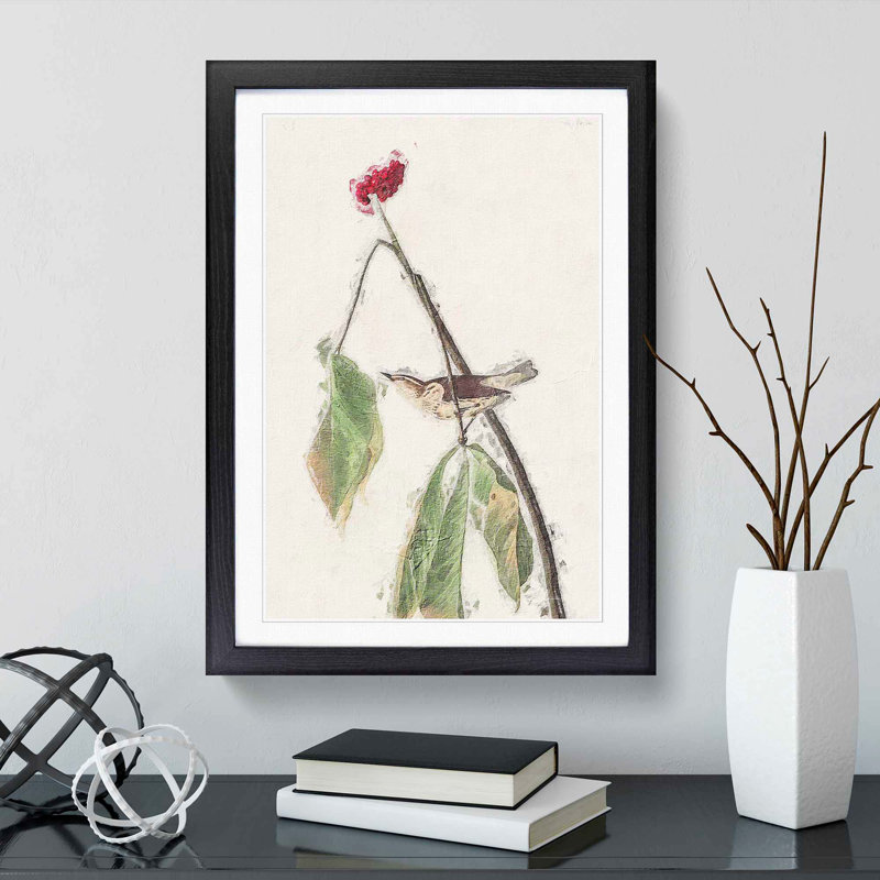 Louisiana Water Thrush by John Audubon - Picture Frame Painting Print, Black Framed, 36cm H x 27cm W x 2cm D