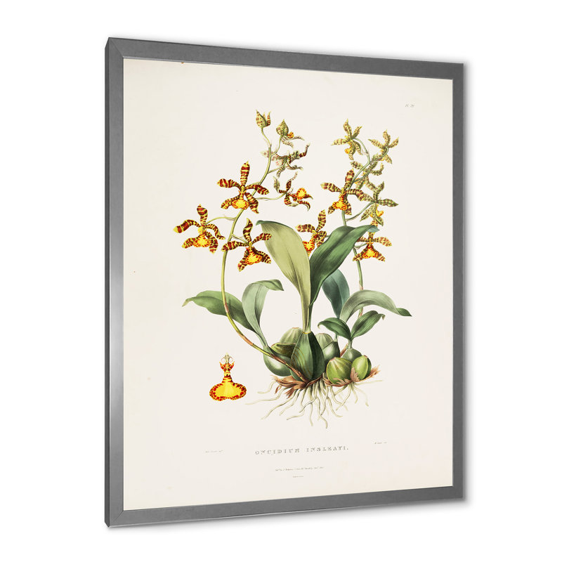 Fleur rétro I - peinture sur toile, H 32 po x l 24 po x P 1 po, Cadre photo argenté
