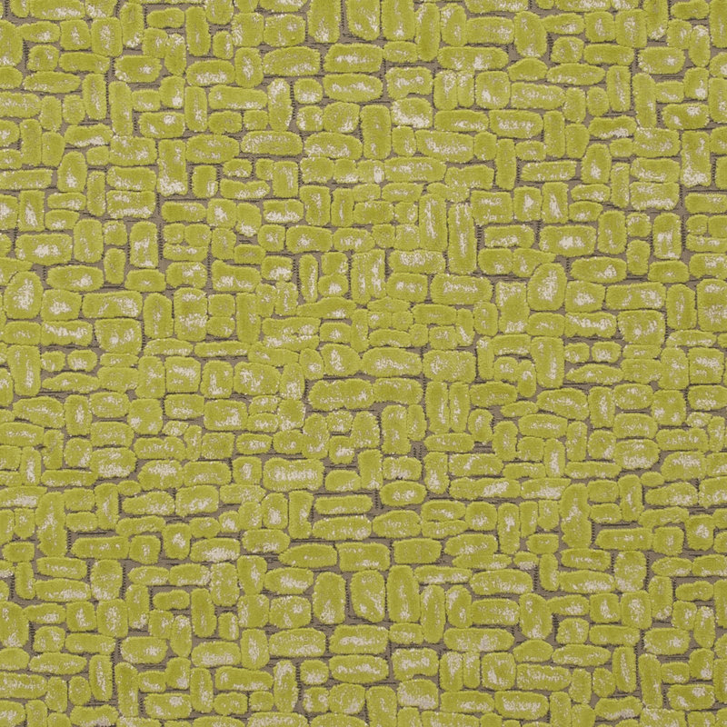 Clarke and Clarke Moda Fabric, Citrus
