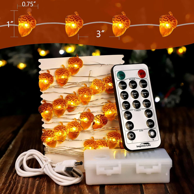 Bissie Indoor 4.8'' Plug-in Fairy String Light