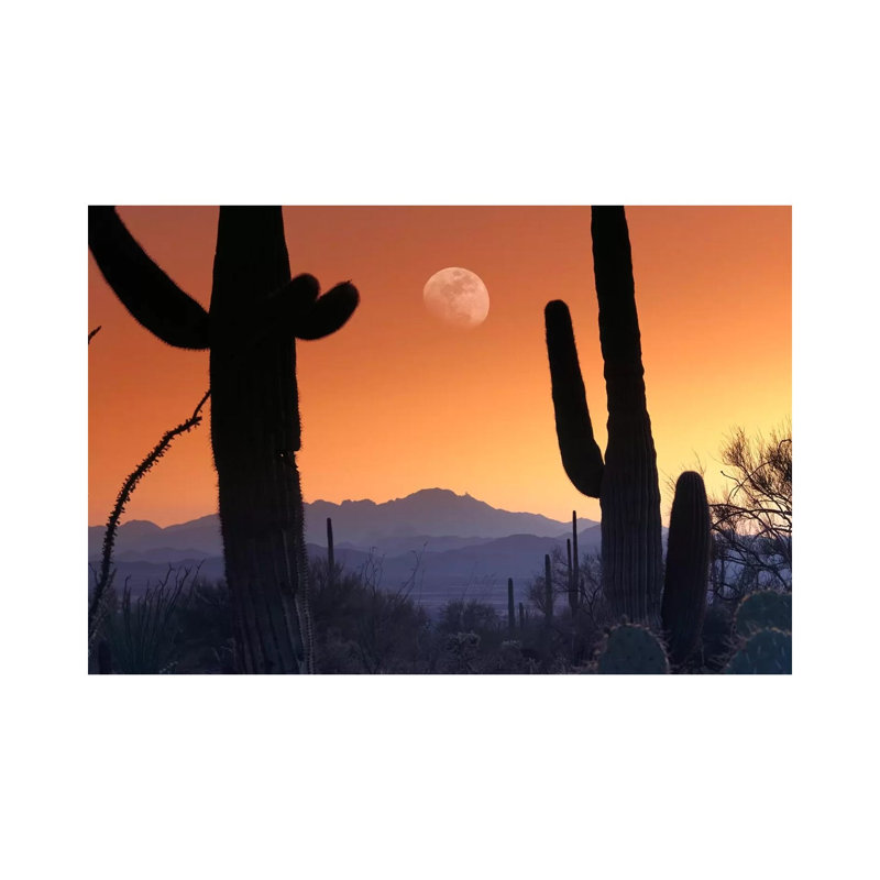Kitt Peak Under Moon From Saguaro National Monument, Arizona. by Tim Fitzharris - Wrapped Canvas Print