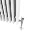 Skyla Horizontal Traditional Colosseum Radiator-1910929567