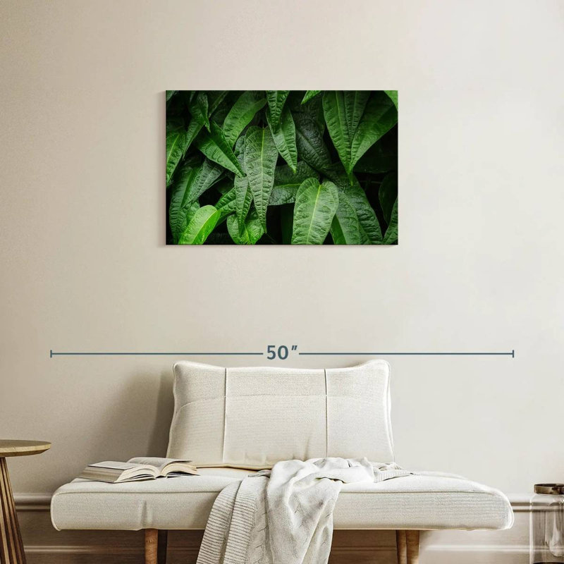 Harnek feuilles de plantes fraîches, H 20 po x l 30 po