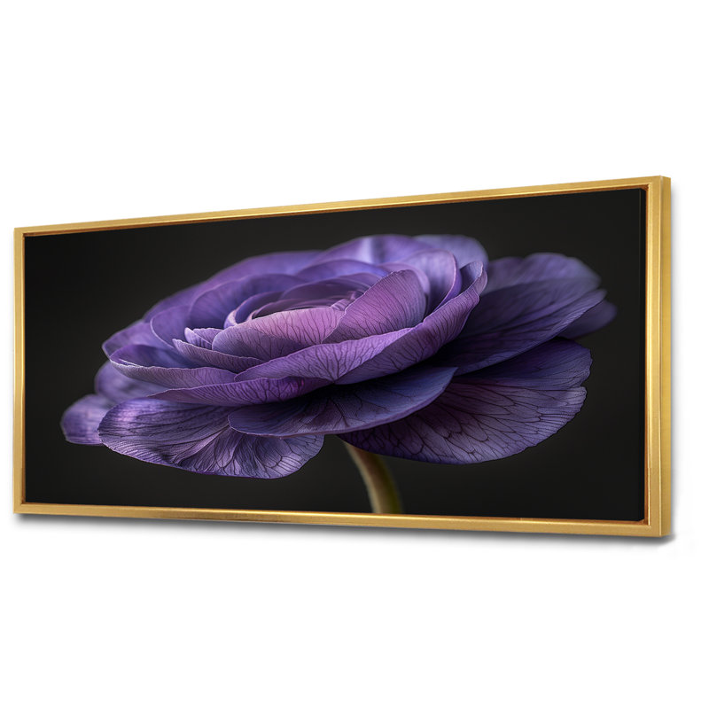Reproduction d'art mural noir et mauve Nature Nuance I - Renoncule, Cadre flottant doré, H 28 po x l 60 po