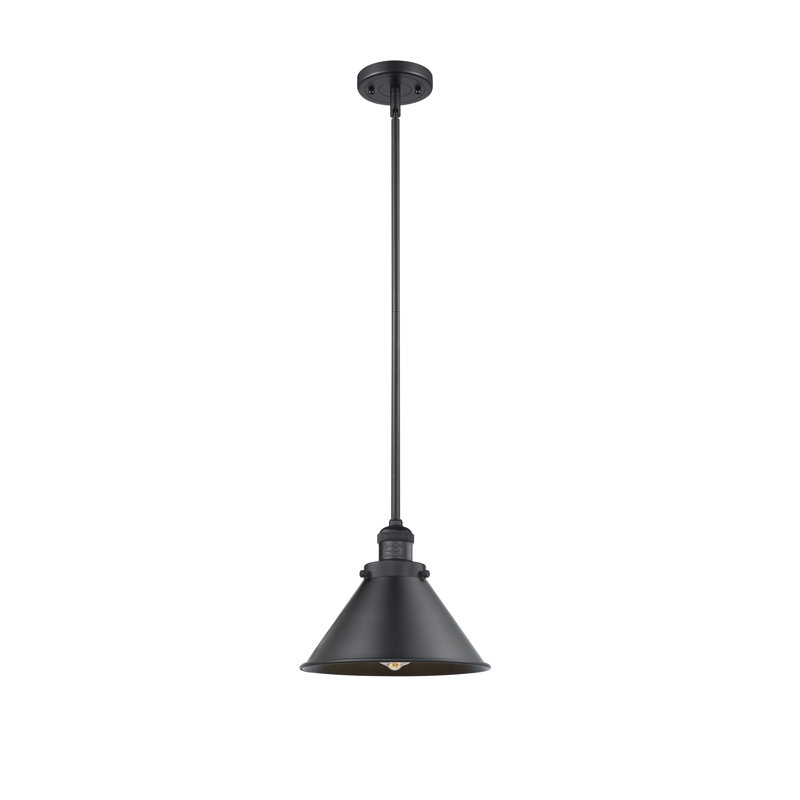 Paylor 1 - Light Single Pendant, No Bulb Included, Matte Black, Matte Black