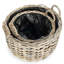 Maida Wood Pot Planter