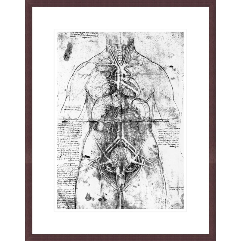 Drawing of an anatomical study by Leonardo da Vinci -Framed Giclee Print, H 21,75 po x l 17,18 po
