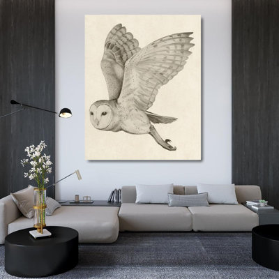 Loon Peak® Popp, Grace Gallery Wrapped Canvas Art Titled: Night Owl I