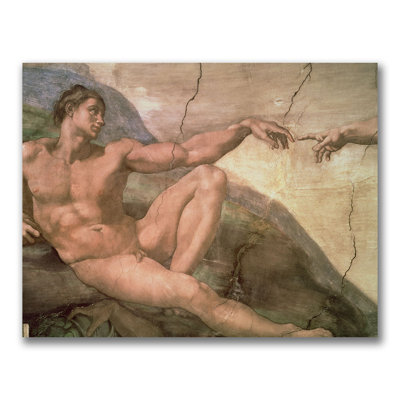 Michelangelo - Print on Canvas