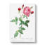 Provence Rose In Pink by Pierre-Joseph Redoute - Wrapped Canvas Print-55322744