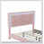 Rose est en rupture de stock