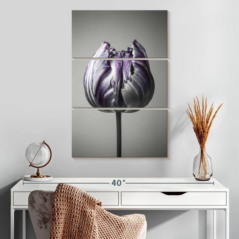 Harnek Baroque I, 32" H x 20" W