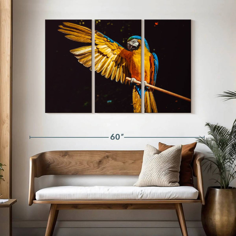 Brampt Blue Gold Macaw, 32" H x 50" W