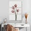 Harnek tulipes rose-117579707