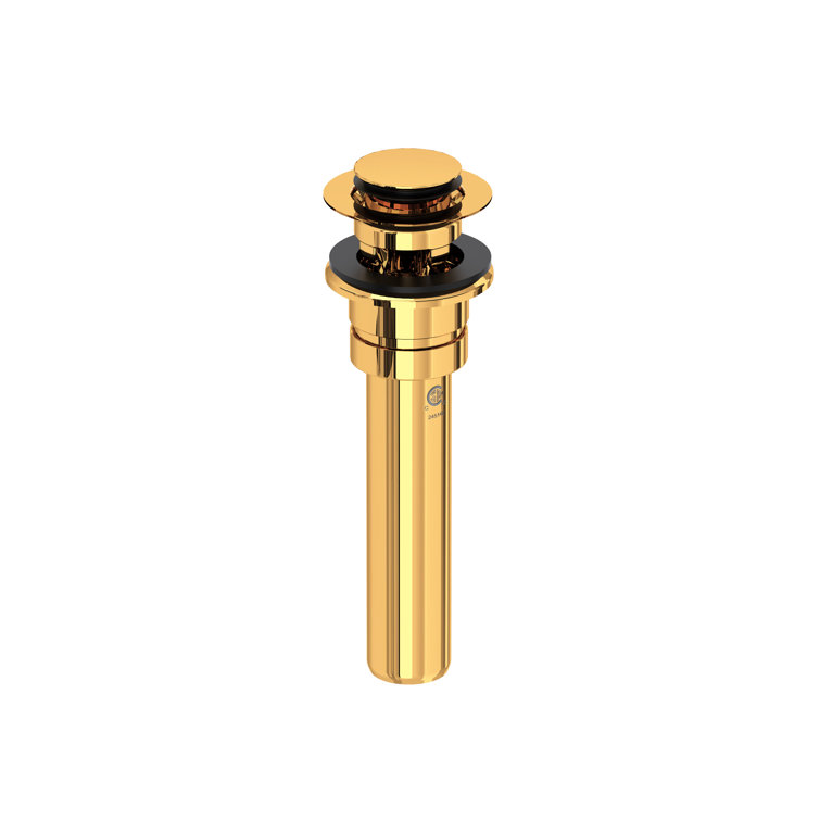 Push Drain with Overflow