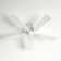 Brandee 42'' Ceiling Fan with Light Kit