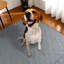 Tapis lavable pour chien, parc, lit, canapé et coffre-1492018964-1536814098