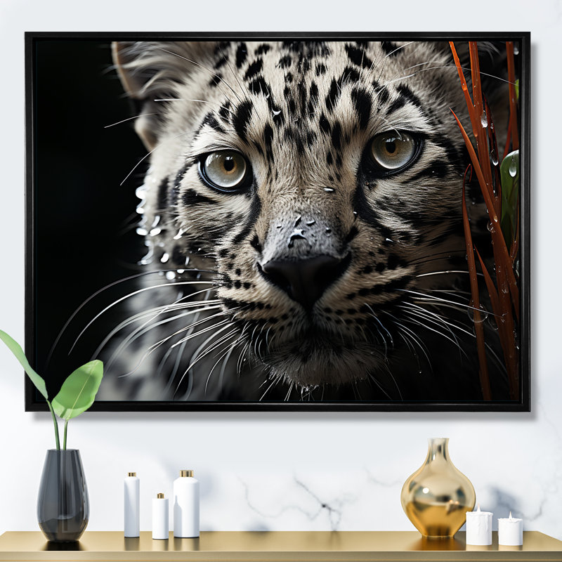 «Jungle Leopard Stalk II», reproduction sur toile, Cadre flottant noir, H 34 po x l 44 po x P 1,5 po