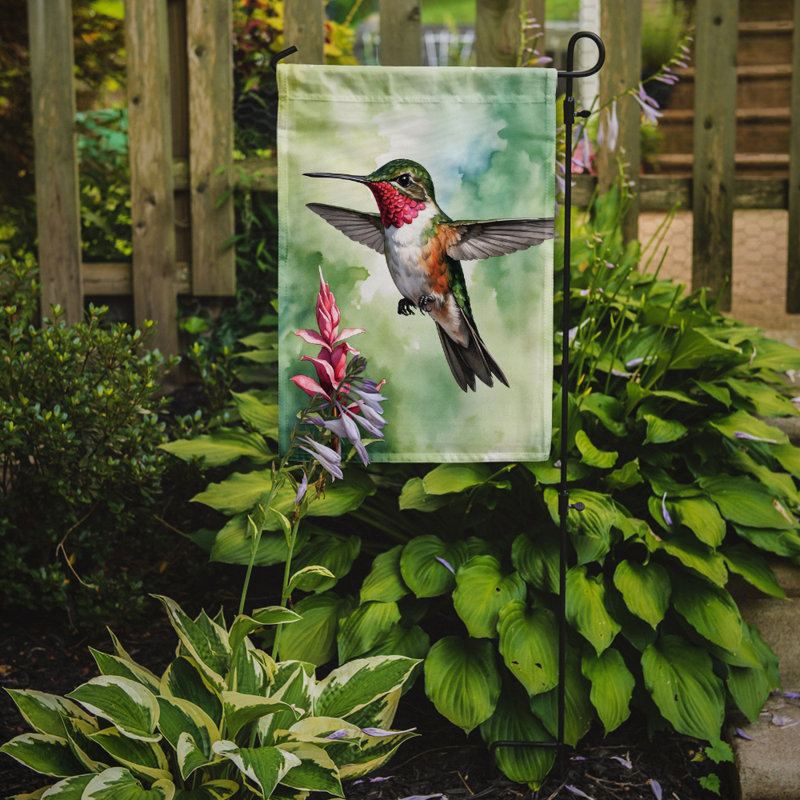 Drapeau de jardin, Calliope Hummingbird