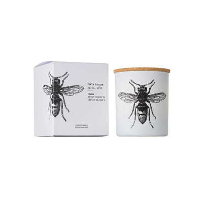 Candle in Jar INSECT CALABRONE 3.35 diam. x 4.13 in