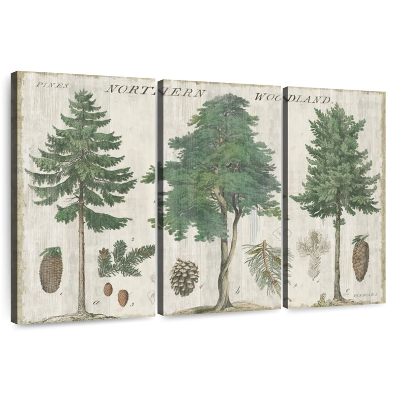 Harnek Woodland Chart I, 24" H x 38" W