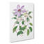 Violet Clematis Flowers - Wrapped Canvas-55370149