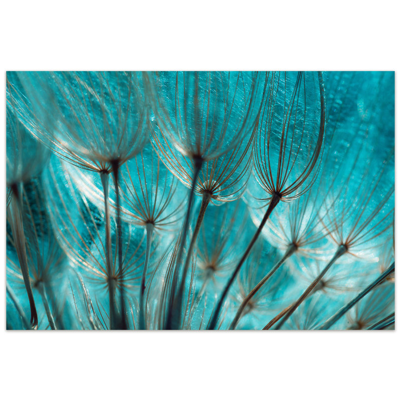 «Dandelion», reproduction sur verre