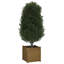 Alasiah Wood Planter Box-1696373215-1696373204