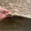 Customer photo 3 of 4