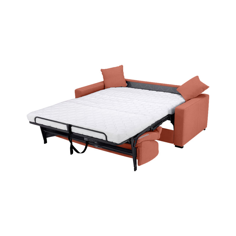 Björgúlfur 81" Italian Stain and Abrasion Resistant Performance Fabric Queen Pull Out Sleeper Sofa Bed