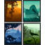 «Jungle tropicale encadrée», ensemble de 4 silhouettes de paysages décorations murales encadrées sur papier, impression de 4 pièces-93012759-93012761