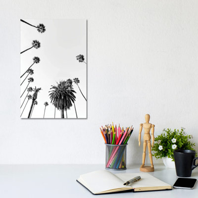 «Black California Series - Palm Trees» par Philippe Hugonnard - reproduction de photo sur toile tendue