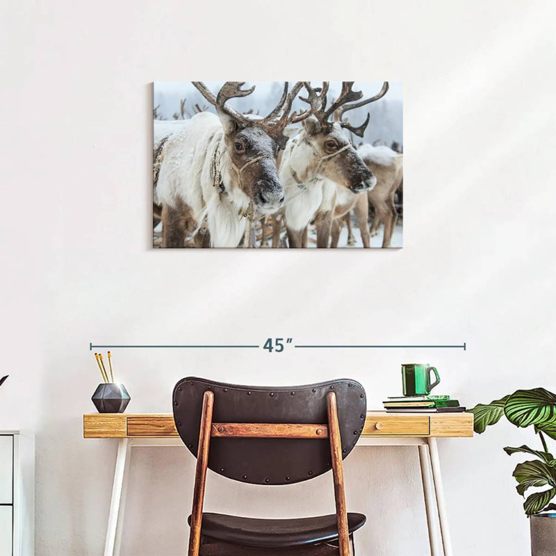 Snow Reindeer, 20" H x 30" W