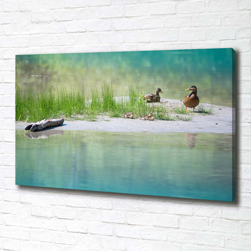 Ducks Above The Water - No Frame Print on Canvas