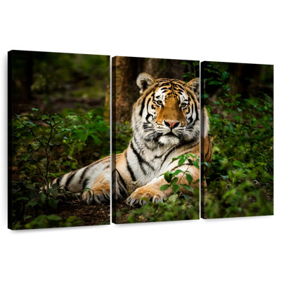 Mighty Tiger