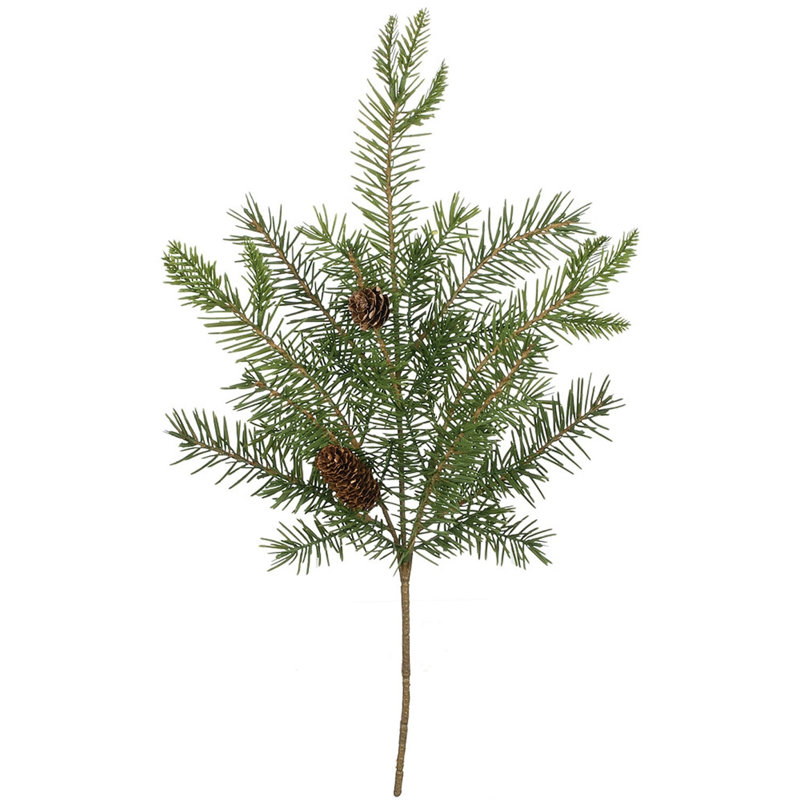 Plante de feuillage Leatham Douglas
